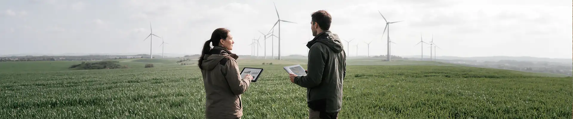 Project developers conducting a field assessment with digital tablets and wind turbines in the background. Project developers conducting a field assessment with digital tablets and wind turbines in the background.